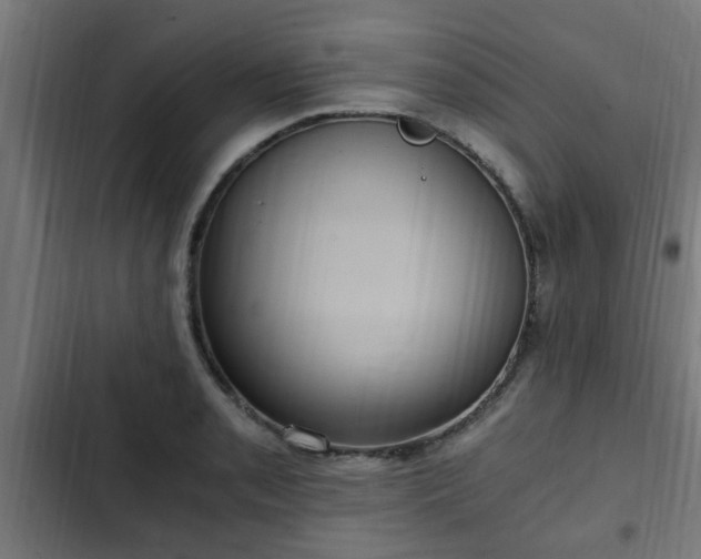 X0000103131085200808291311