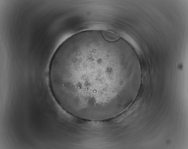 X0000103131087200808291310