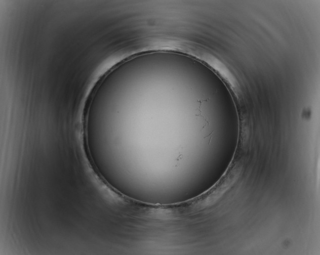 X0000103131088200808291310