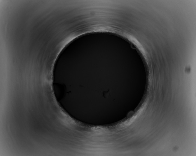 X0000103131089200808291310