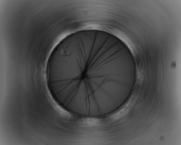 X0000103131090200808291310