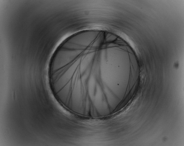 X0000103131091200808291310
