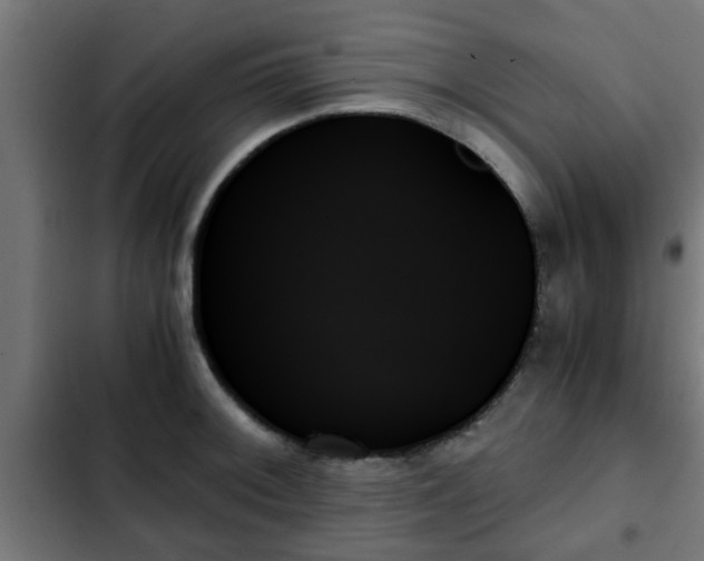 X0000103131092200808291310