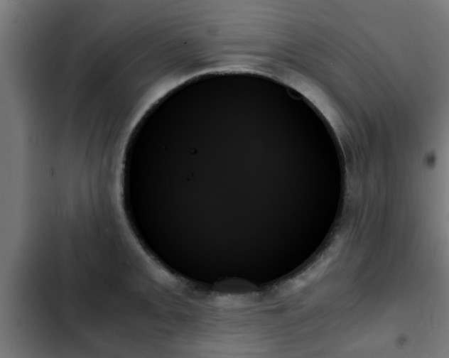 X0000103131093200808291310
