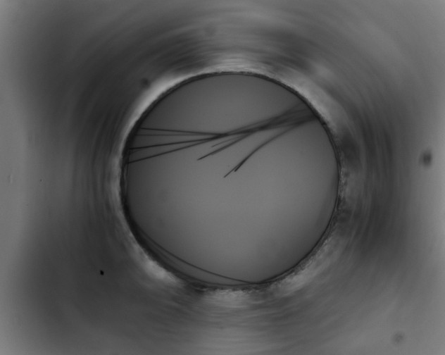 X0000103131094200808291310