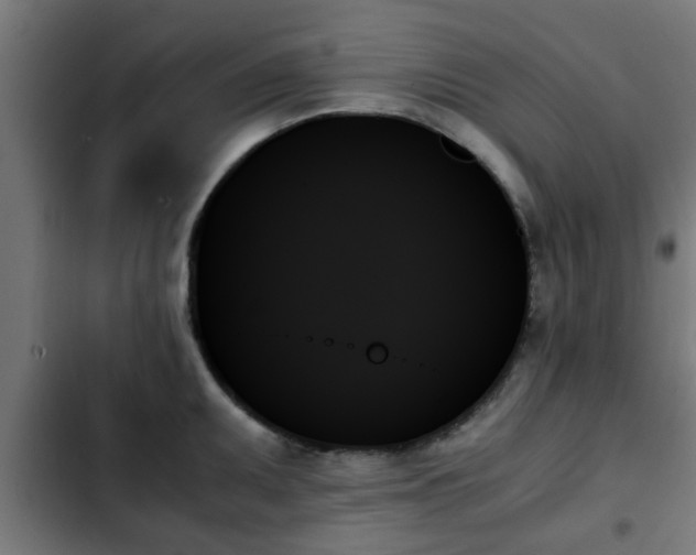 X0000103131095200808291310