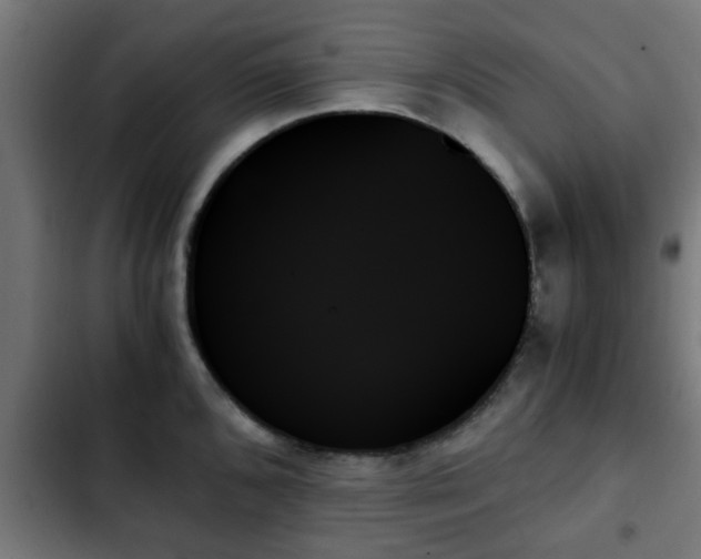X0000103131096200808291310