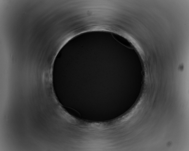 X0000103131097200808291310