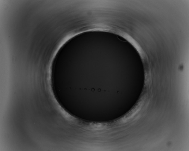 X0000103131099200808291310