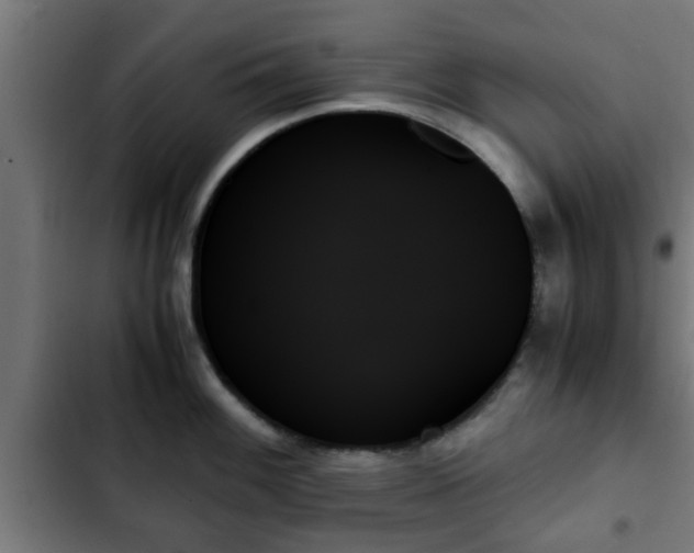 X0000103131100200808291310