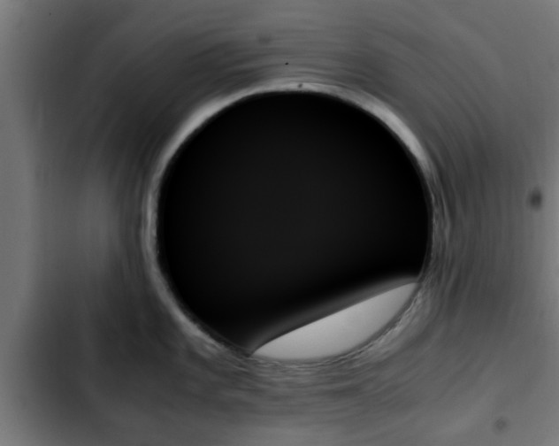 X0000103131101200808291310