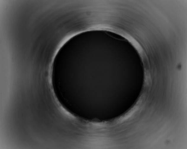 X0000103131102200808291310