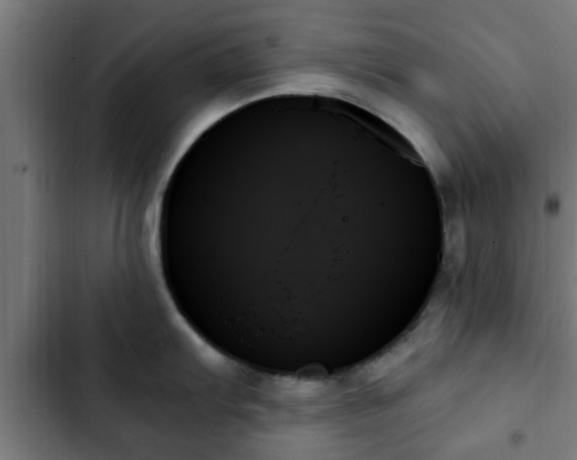 X0000103131103200808291310