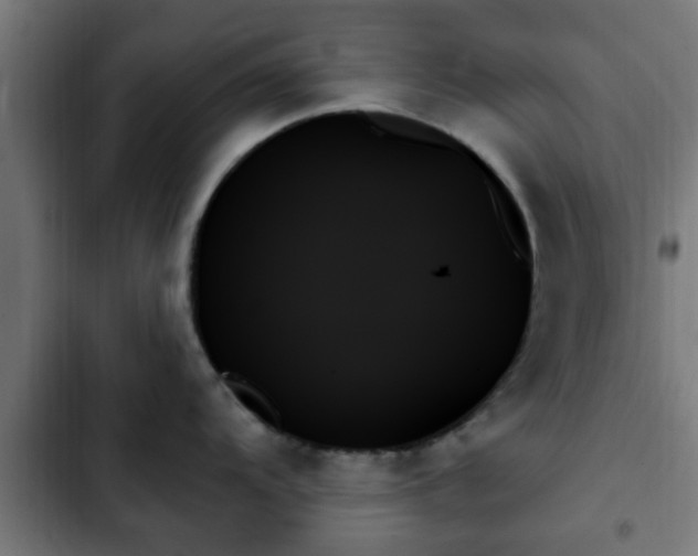 X0000103131104200808291310