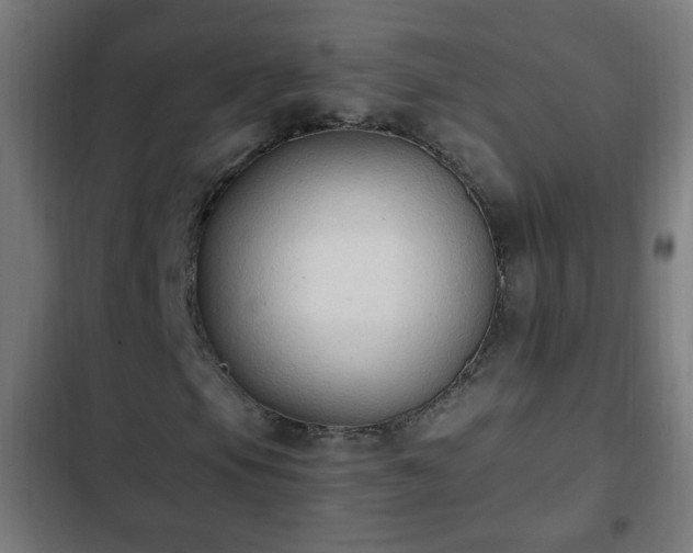 X0000103131105200808291309