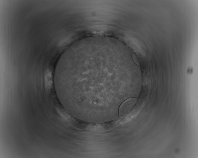 X0000103131106200808291309