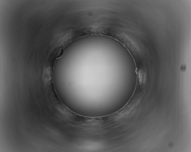 X0000103131107200808291309