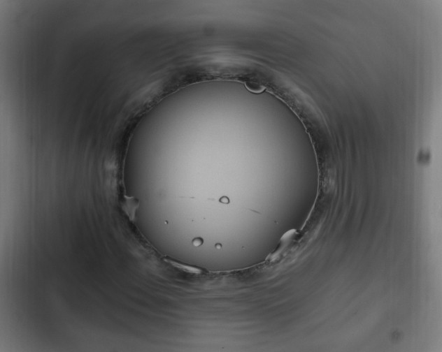 X0000103131108200808291309