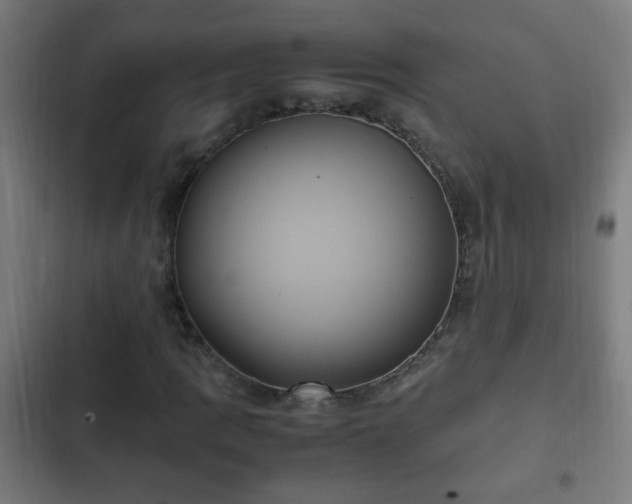 X0000103131109200808291309