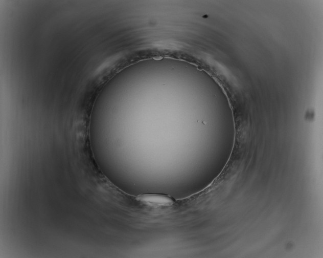 X0000103131110200808291309