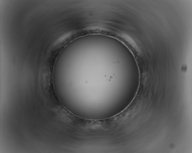 X0000103131111200808291310
