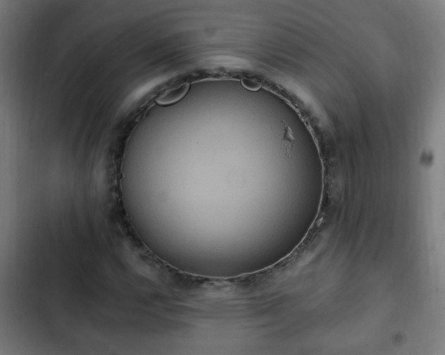 X0000103131112200808291310