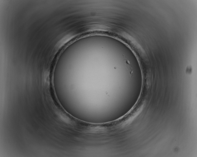 X0000103131113200808291310