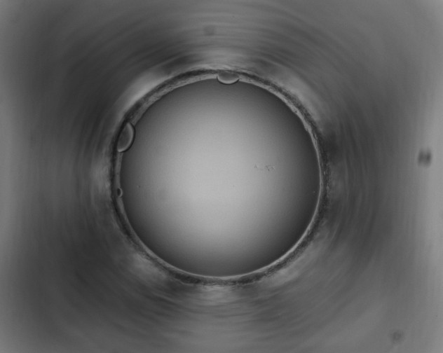 X0000103131114200808291310