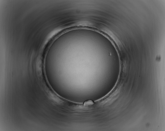 X0000103131115200808291310