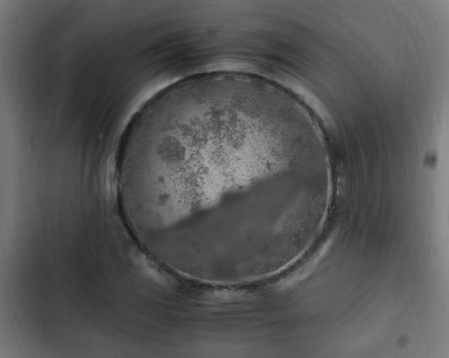 X0000103131117200808291310