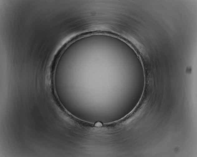 X0000103131118200808291310