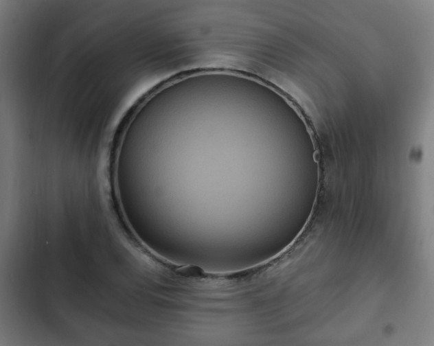 X0000103131120200808291310