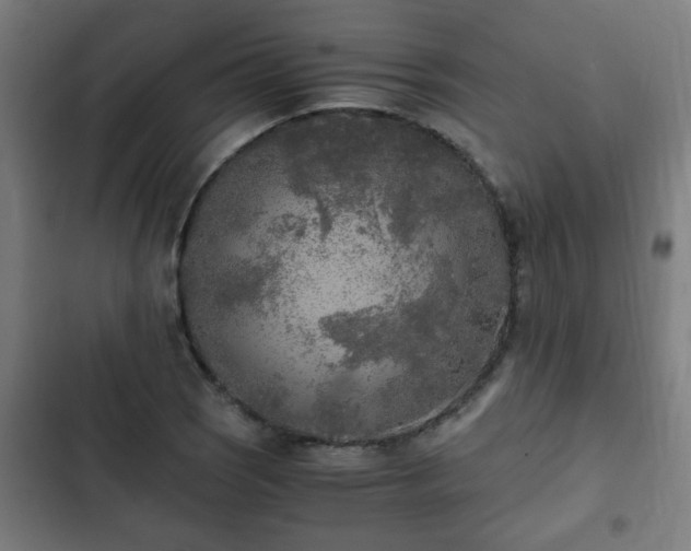 X0000103131121200808291310
