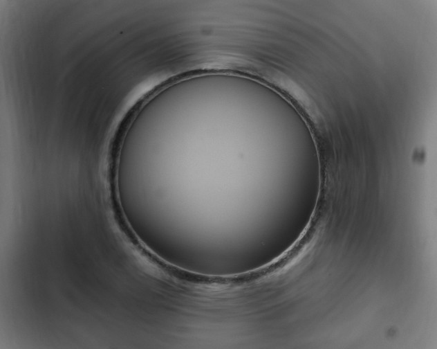 X0000103131122200808291310