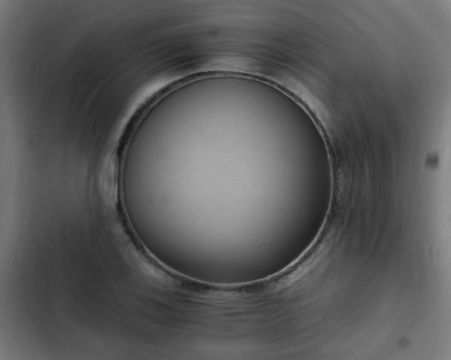 X0000103131123200808291310