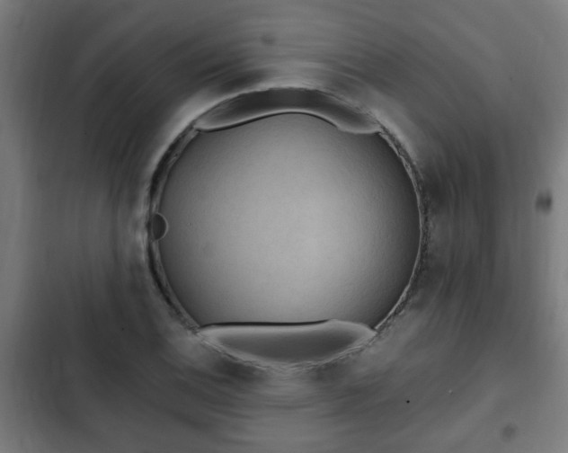 X0000103131124200808291310