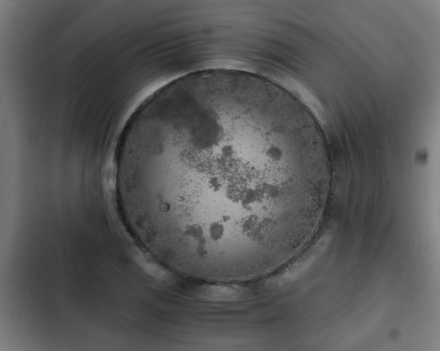 X0000103131125200808291310