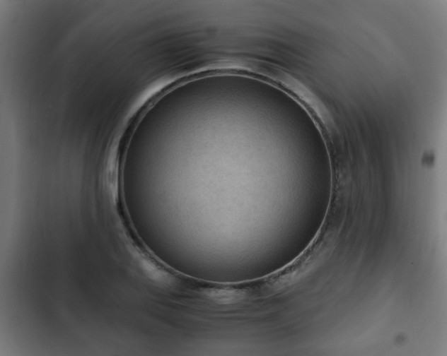 X0000103131127200808291310