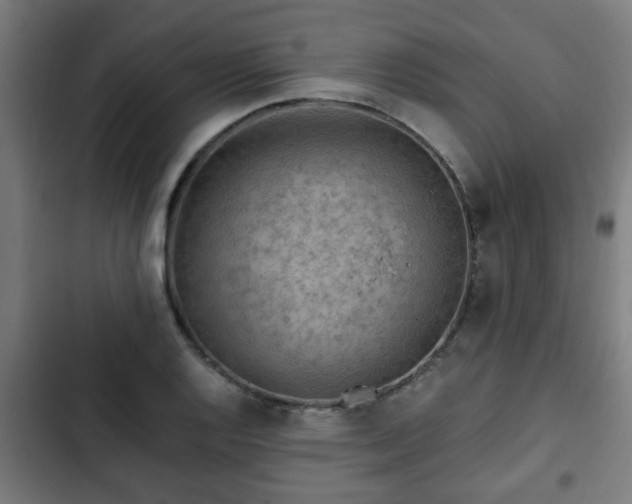 X0000103131128200808291310
