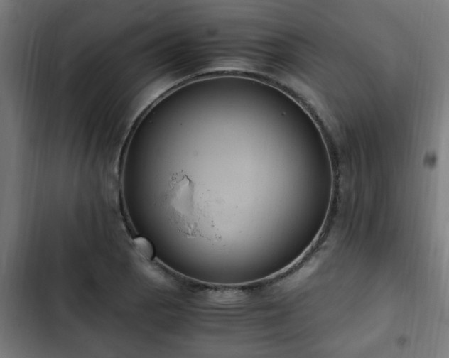 X0000103131129200808291310