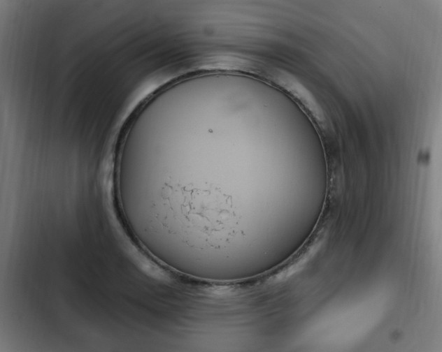 X0000103131130200808291310