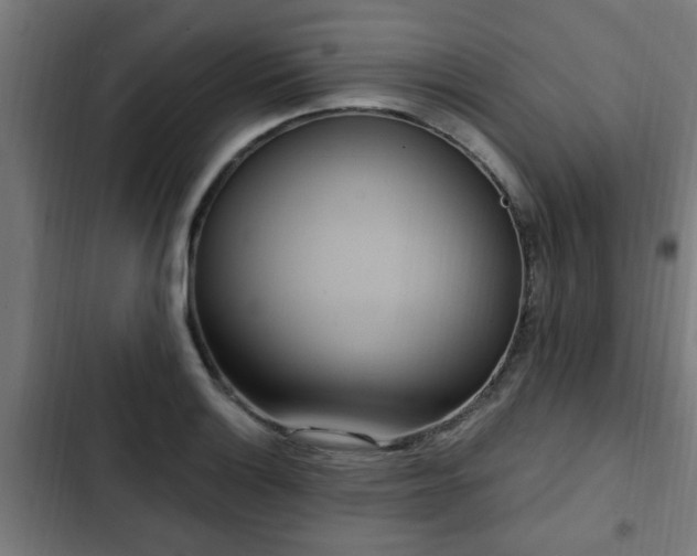 X0000103131132200808291310