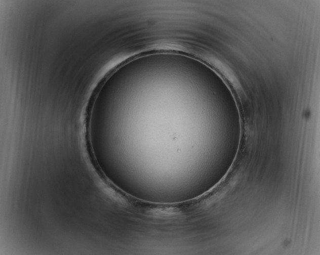 X0000103131133200808291310