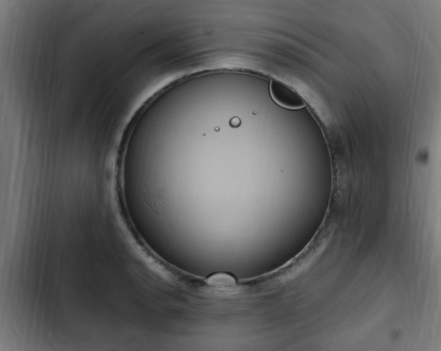 X0000103131134200808291310
