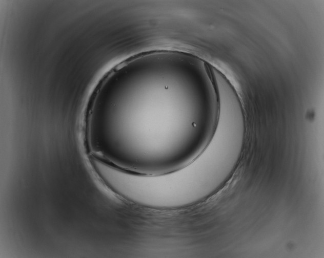 X0000103131136200808291310