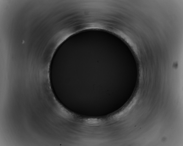 X0000103131137200808291310