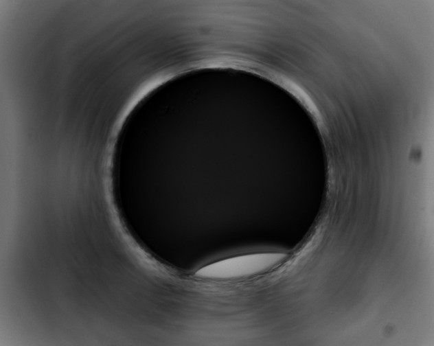 X0000103131138200808291310