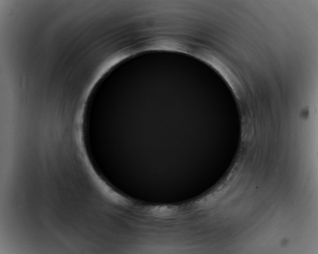 X0000103131139200808291310
