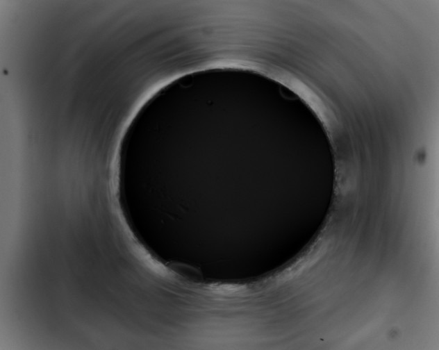 X0000103131140200808291310