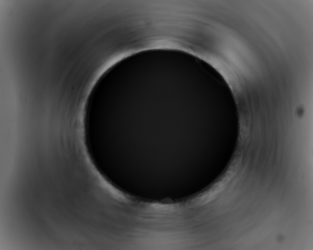 X0000103131142200808291310